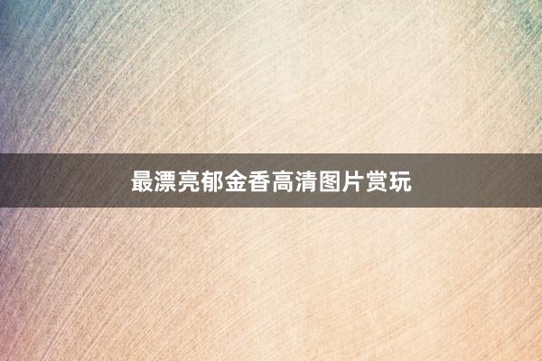 最漂亮郁金香高清图片赏玩
